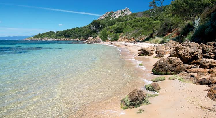 Provence : Les 10 trésors cachés à découvrir absolument !