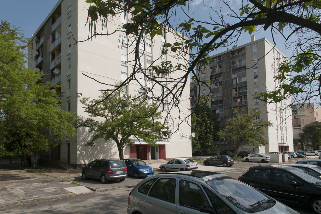 Barriol – Arles (13) : Quand le logement social pertube les chauves-souris, espèces protégées