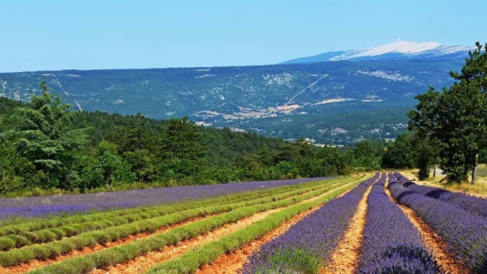 Combien coûtent les terres agricoles ? Décision du 10 août 2026 portant fixation du barème indicatif de la valeur vénale moyenne des terres agricoles en 2025