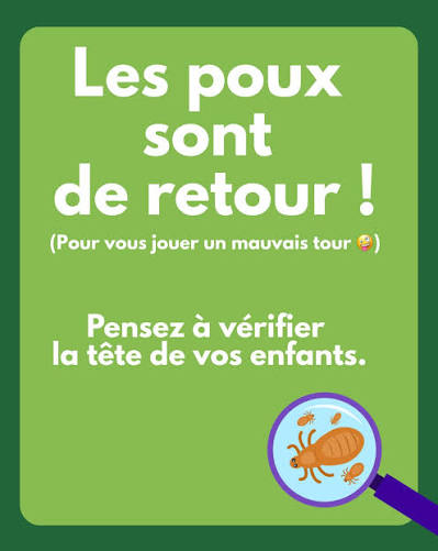 Rentrée scolaire 2026 en PACA : 5 gestes pour éviter les poux